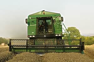 wheat harvest